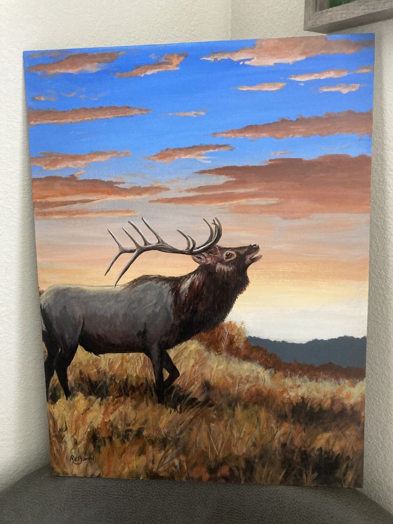 elk at sunset